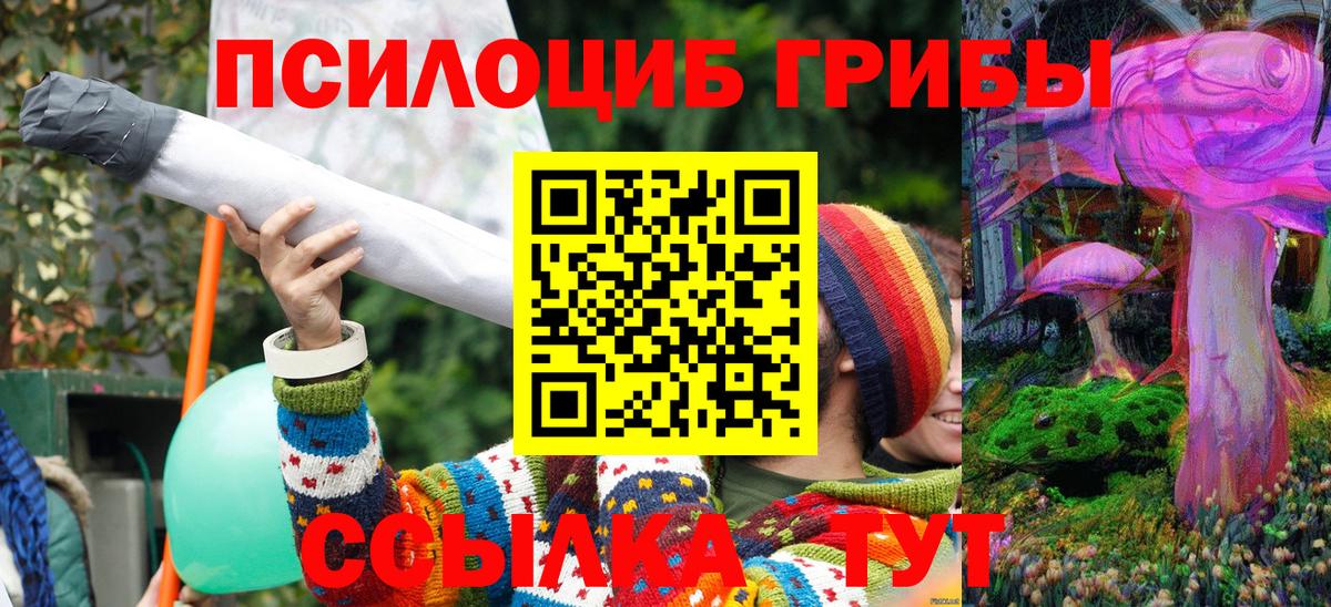 Псилоцибиновые грибы Cubensis  Вход с VPN  Костомукша  Псилоцибиновые грибы Psilocybe 